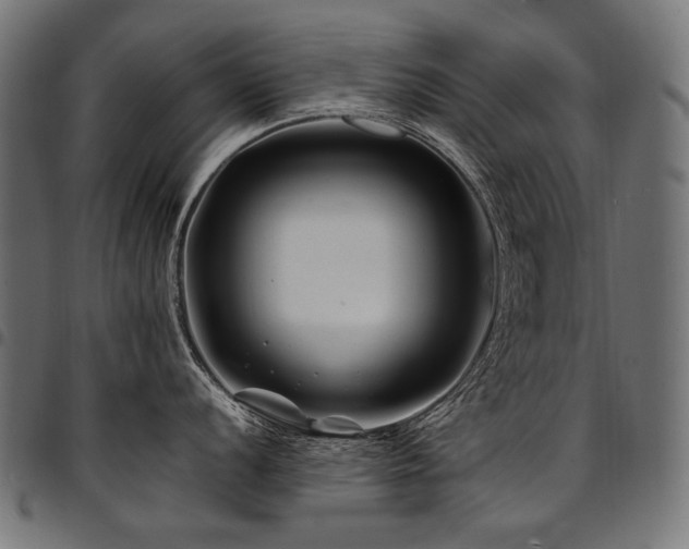 X0000095541056200712141520