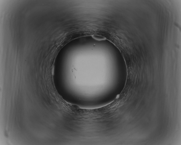 X0000095541057200712141520