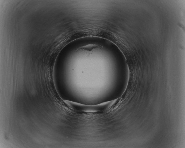 X0000095541058200712141520