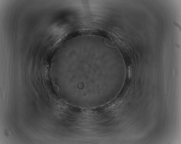 X0000095541059200712141520