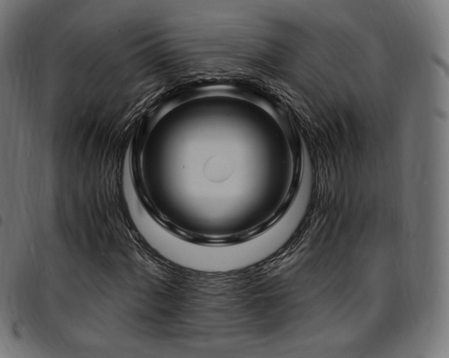 X0000095541060200712141520