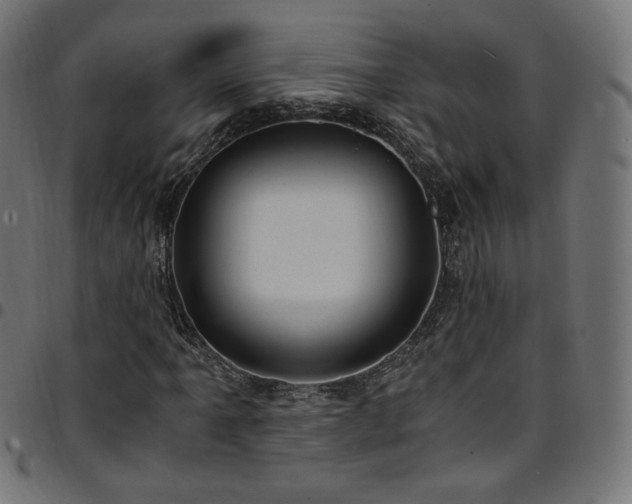 X0000095541061200712141520