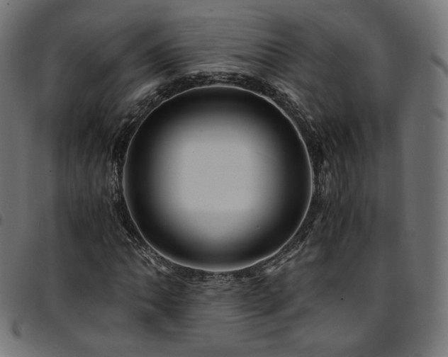 X0000095541062200712141520