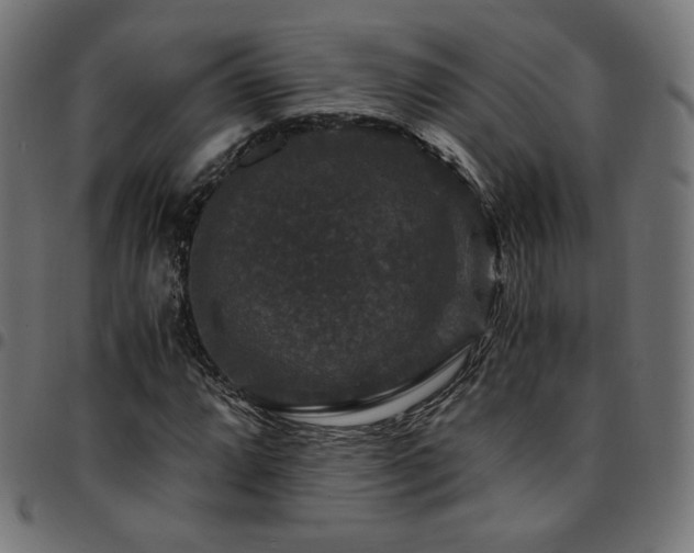 X0000095541064200712141520