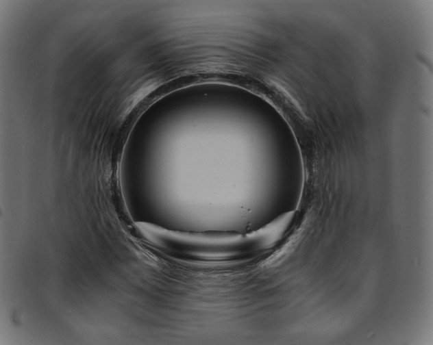 X0000095541065200712141519