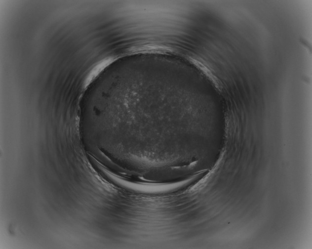 X0000095541066200712141519