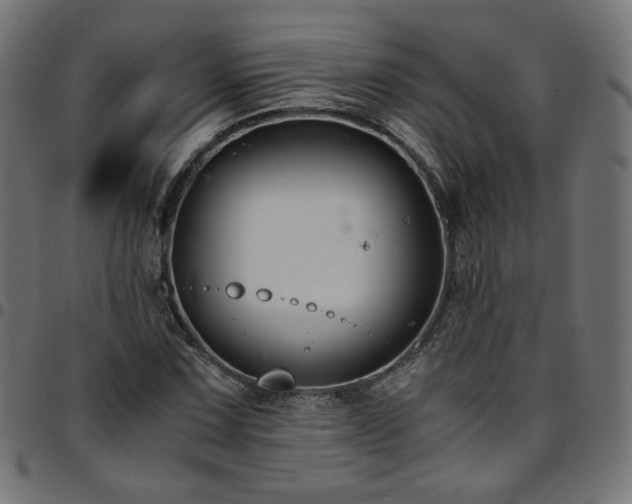 X0000095541067200712141519