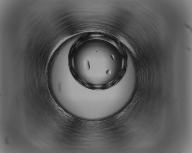 X0000095541068200712141519