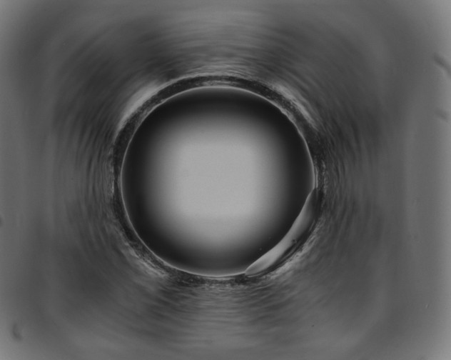 X0000095541069200712141519