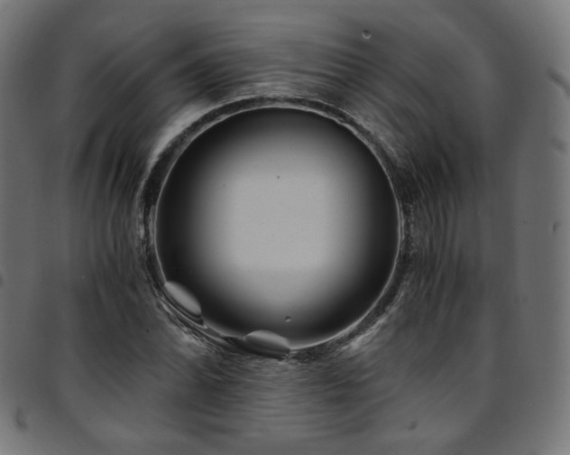 X0000095541070200712141519