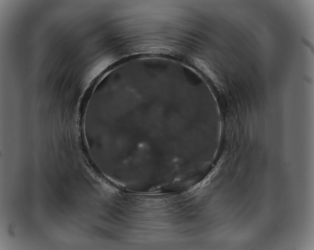 X0000095541071200712141519