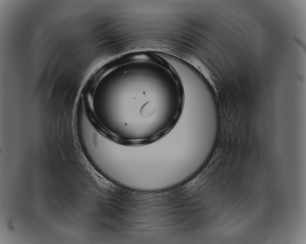 X0000095541072200712141519