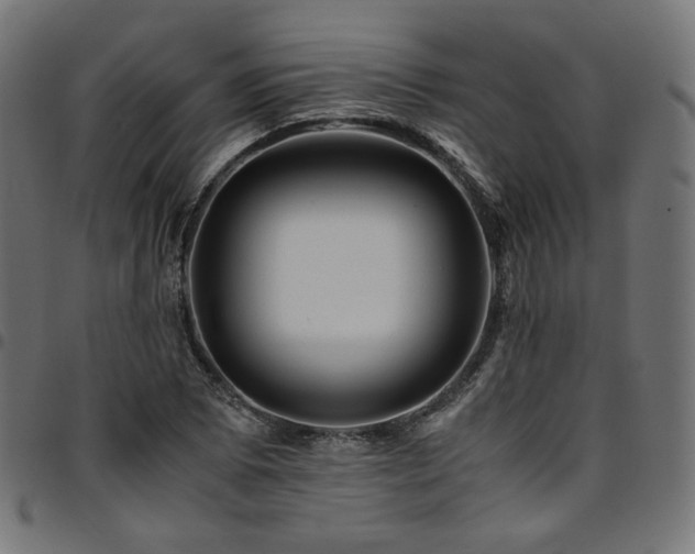 X0000095541073200712141519