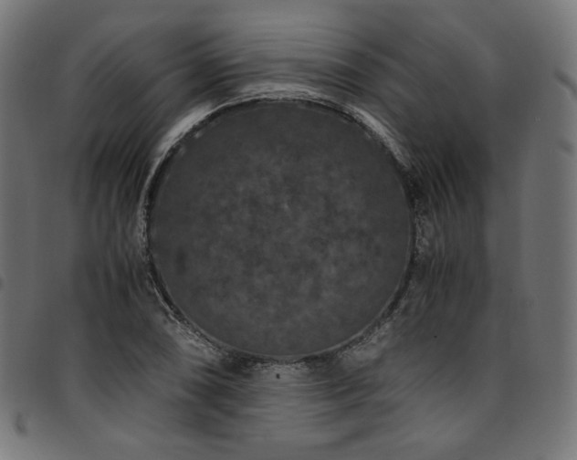 X0000095541074200712141519