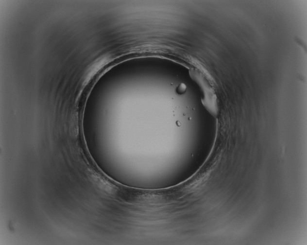 X0000095541075200712141519