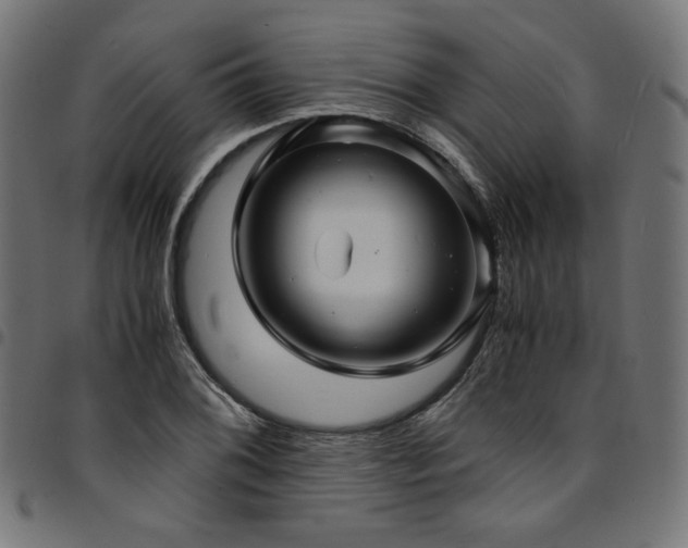 X0000095541076200712141519