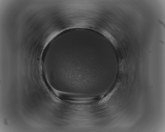 X0000095541077200712141519