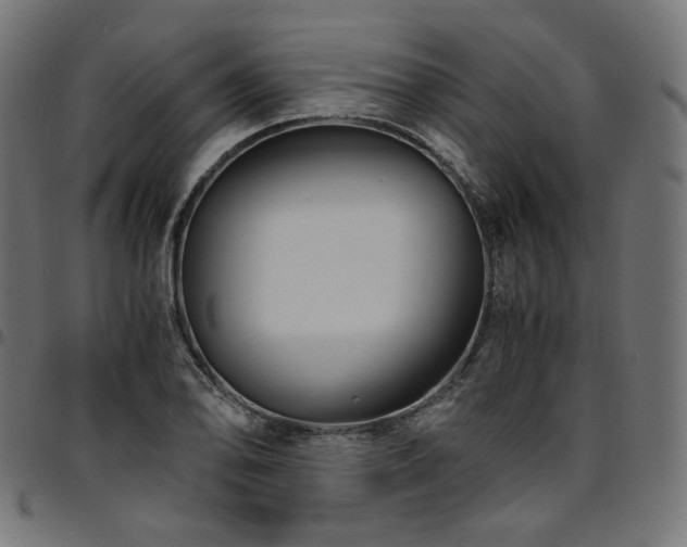 X0000095541078200712141519