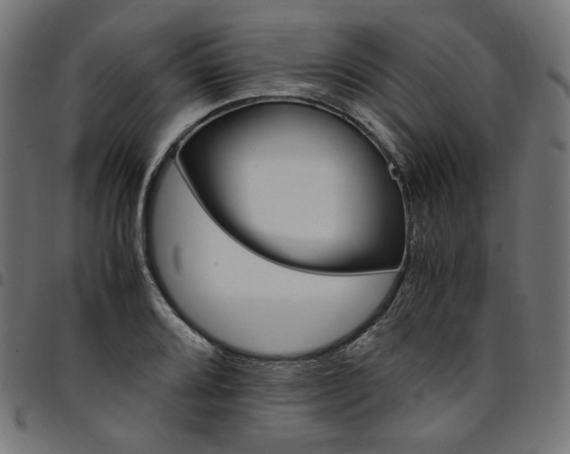 X0000095541080200712141519