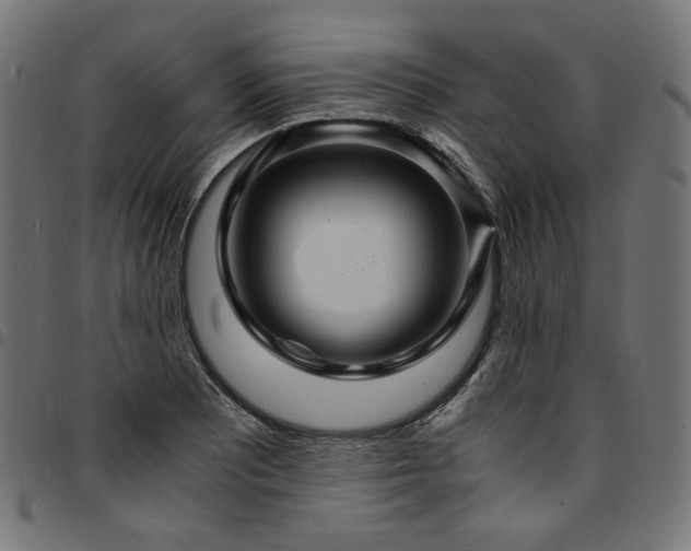 X0000095541081200712141519