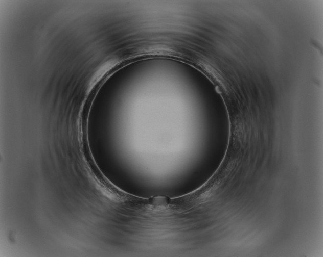 X0000095541082200712141519