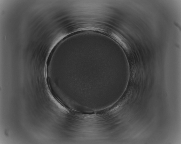 X0000095541084200712141519