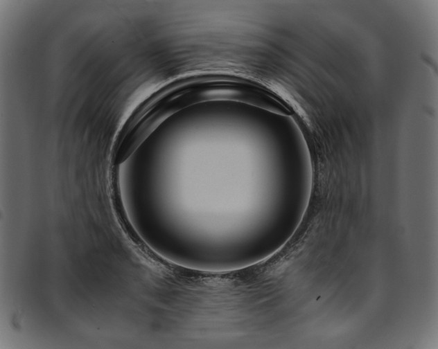 X0000095541085200712141519