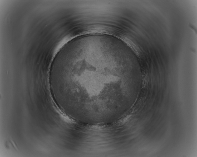 X0000095541086200712141519