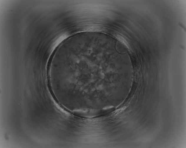 X0000095541087200712141519