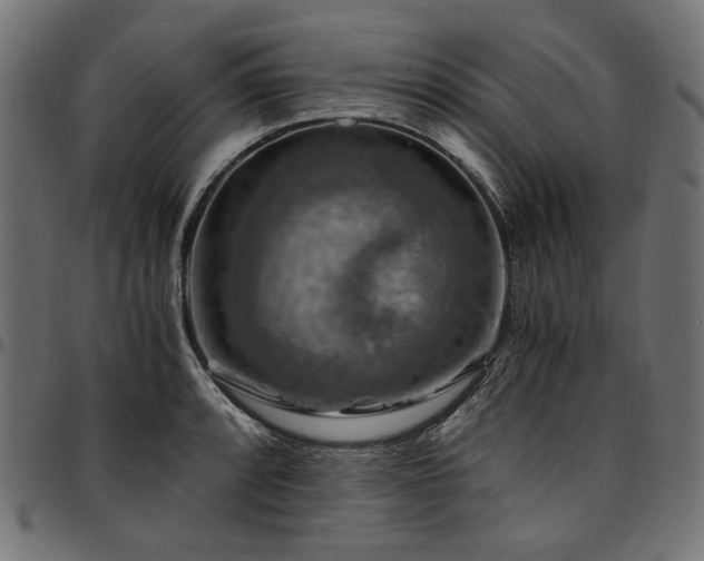 X0000095541088200712141519