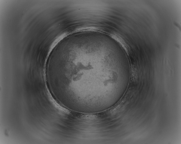 X0000095541090200712141519