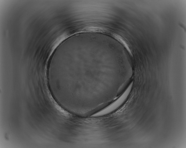 X0000095541091200712141519