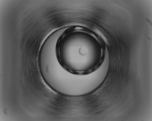 X0000095541092200712141519