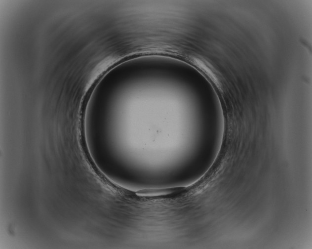 X0000095541093200712141519