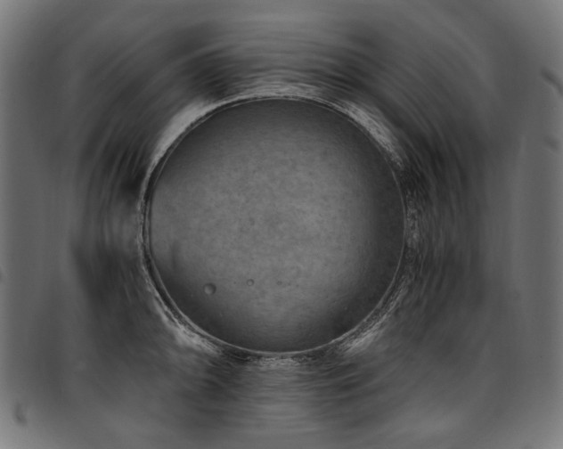 X0000095541094200712141519