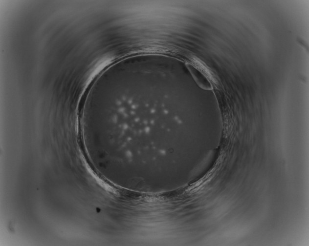 X0000095541095200712141519