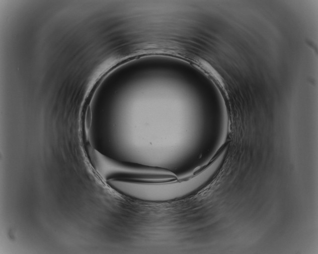 X0000095541096200712141519