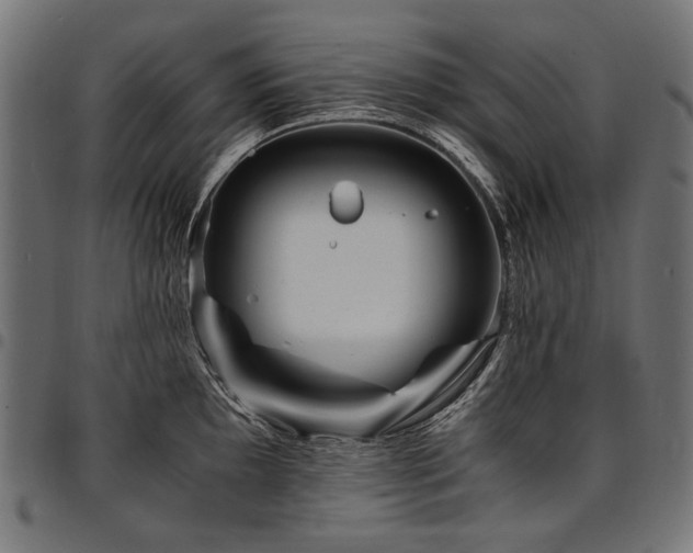 X0000095541097200712141519