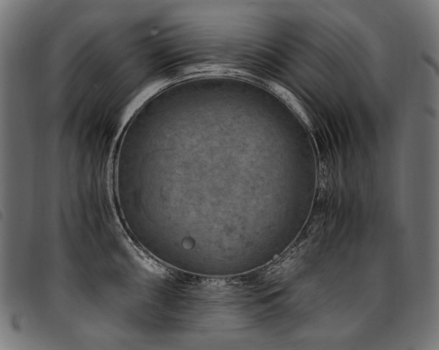 X0000095541098200712141519