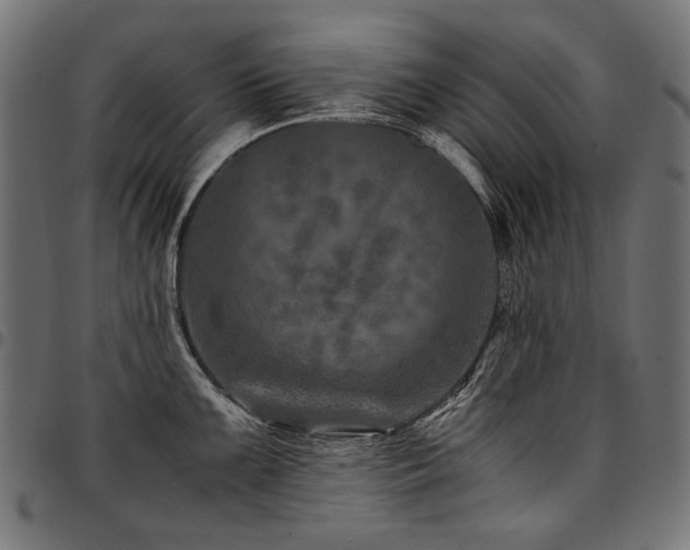 X0000095541099200712141519