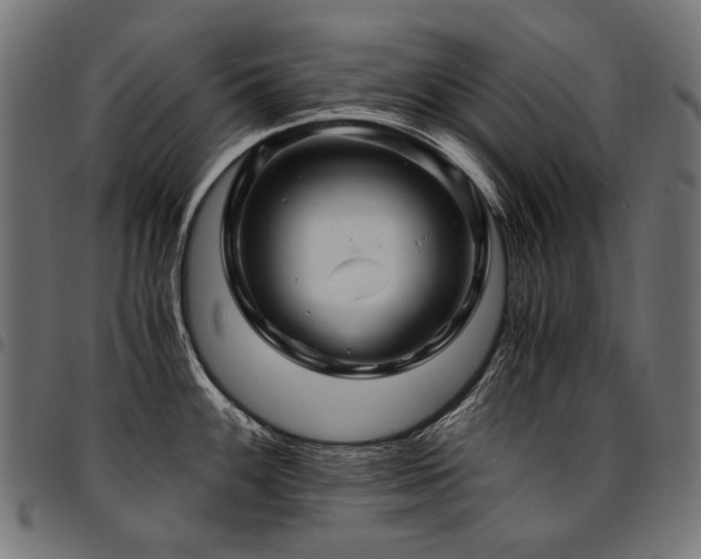 X0000095541100200712141519