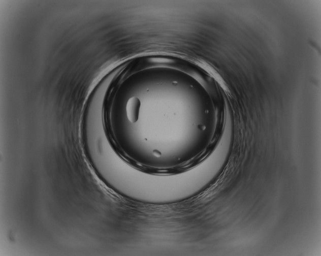 X0000095541101200712141519