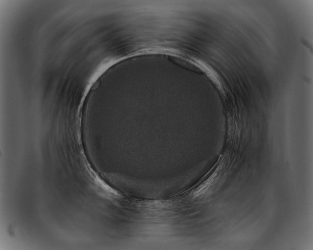 X0000095541102200712141519