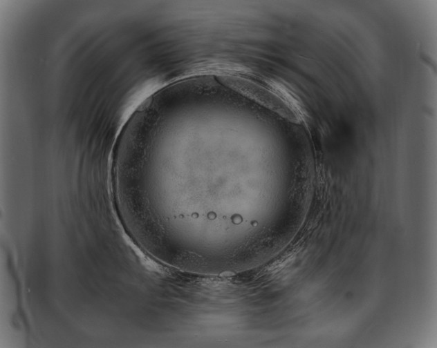 X0000095541103200712141519