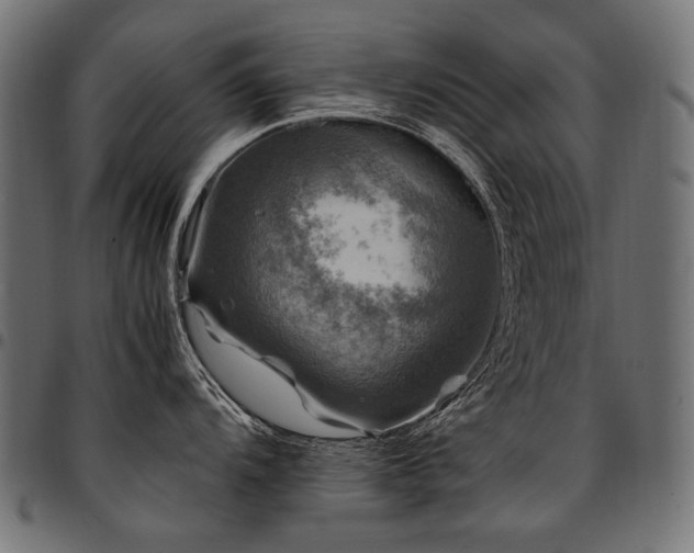 X0000095541104200712141519