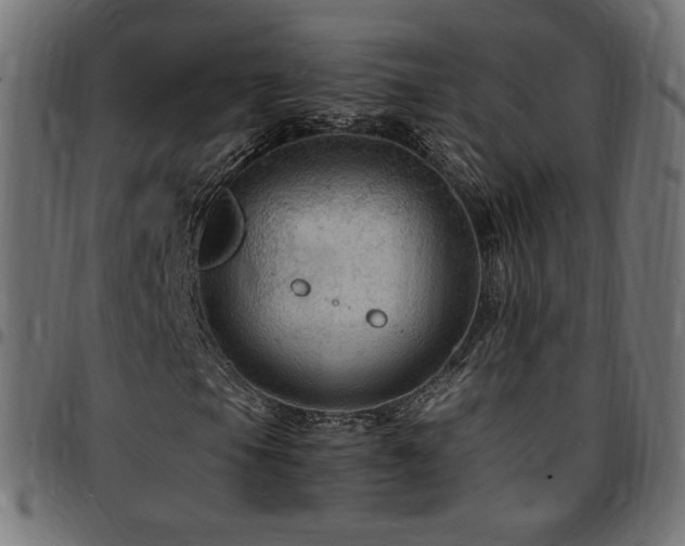 X0000095541105200712141518