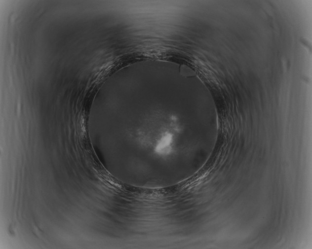 X0000095541106200712141518