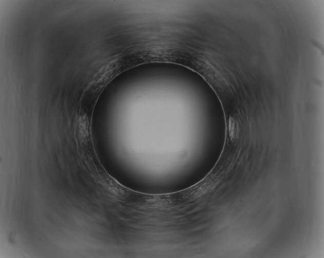 X0000095541107200712141518