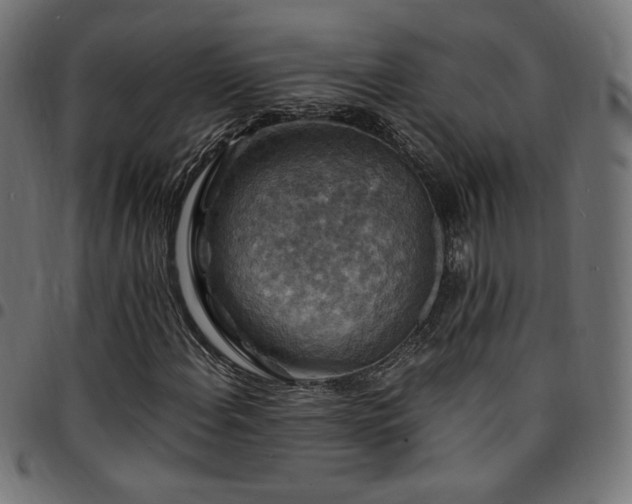 X0000095541108200712141518