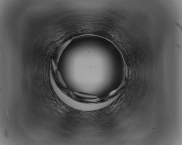 X0000095541109200712141518